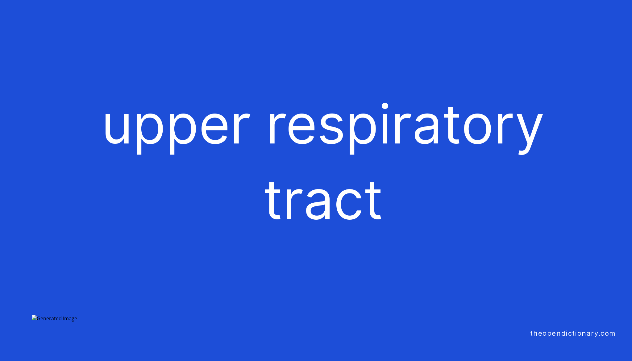 upper-respiratory-tract-meaning-of-upper-respiratory-tract